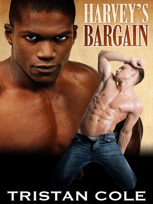 cover image of Harvey's Bargain